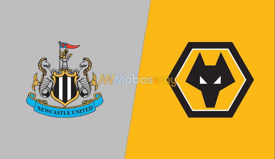 Prediksi Bola Newcastle VS Wolverhampton 17 Juli 2019