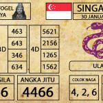 Prediksi Togel Singapura Hari ini 30 Januari 2019 - Mabosway