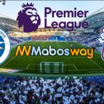 Prediksi Bola Brighton & Hove Albion VS Cardiff City 17 April 2019