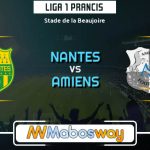 Prediksi Bola Nantes vs Amiens 21 April 2019