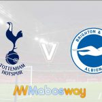 Prediksi Bola Tottenham Hotspur vs Brighton Hove Albion 24 April 2019