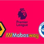 Prediksi Bola Wolverhampton VS Brighton&Hove 20 April 2019