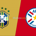 Prediksi Bola Brazil VS Paraguay 28 Juni 2019