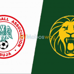 Prediksi Bola Nigeria VS Cameroon 06 Juli 2019