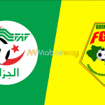 Prediksi Bola Algeria VS Guinea 08 Juli 2019