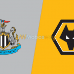 Prediksi Bola Newcastle VS Wolverhampton 17 Juli 2019